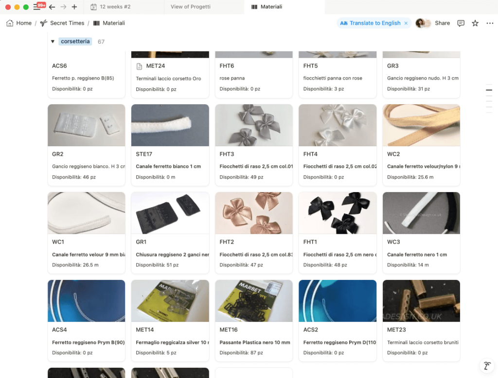 Screen Notion sezione "Inventario"