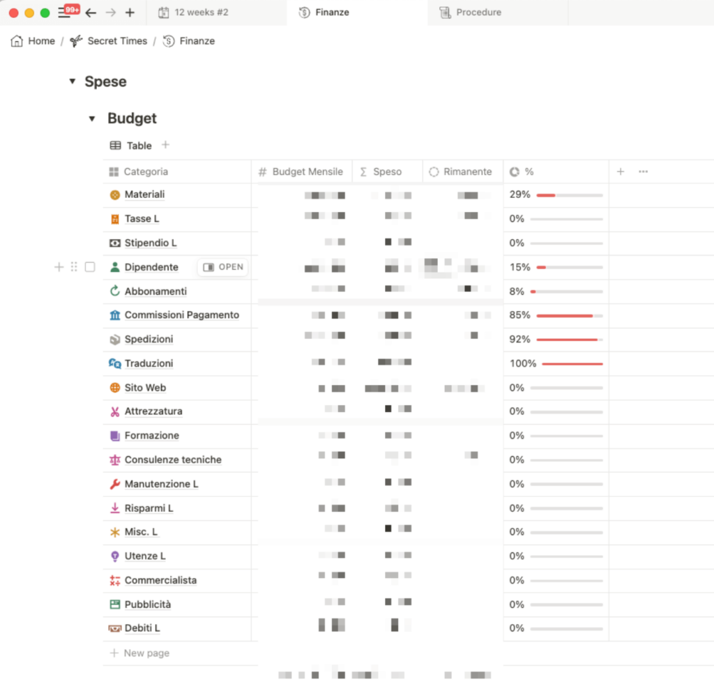Screen Notion sezione "Budget"